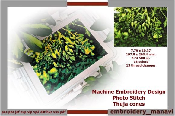 Reviewing Embroidery Photo Stitch Thuja Cones for Business